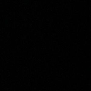 Meet your Posher, Sophia